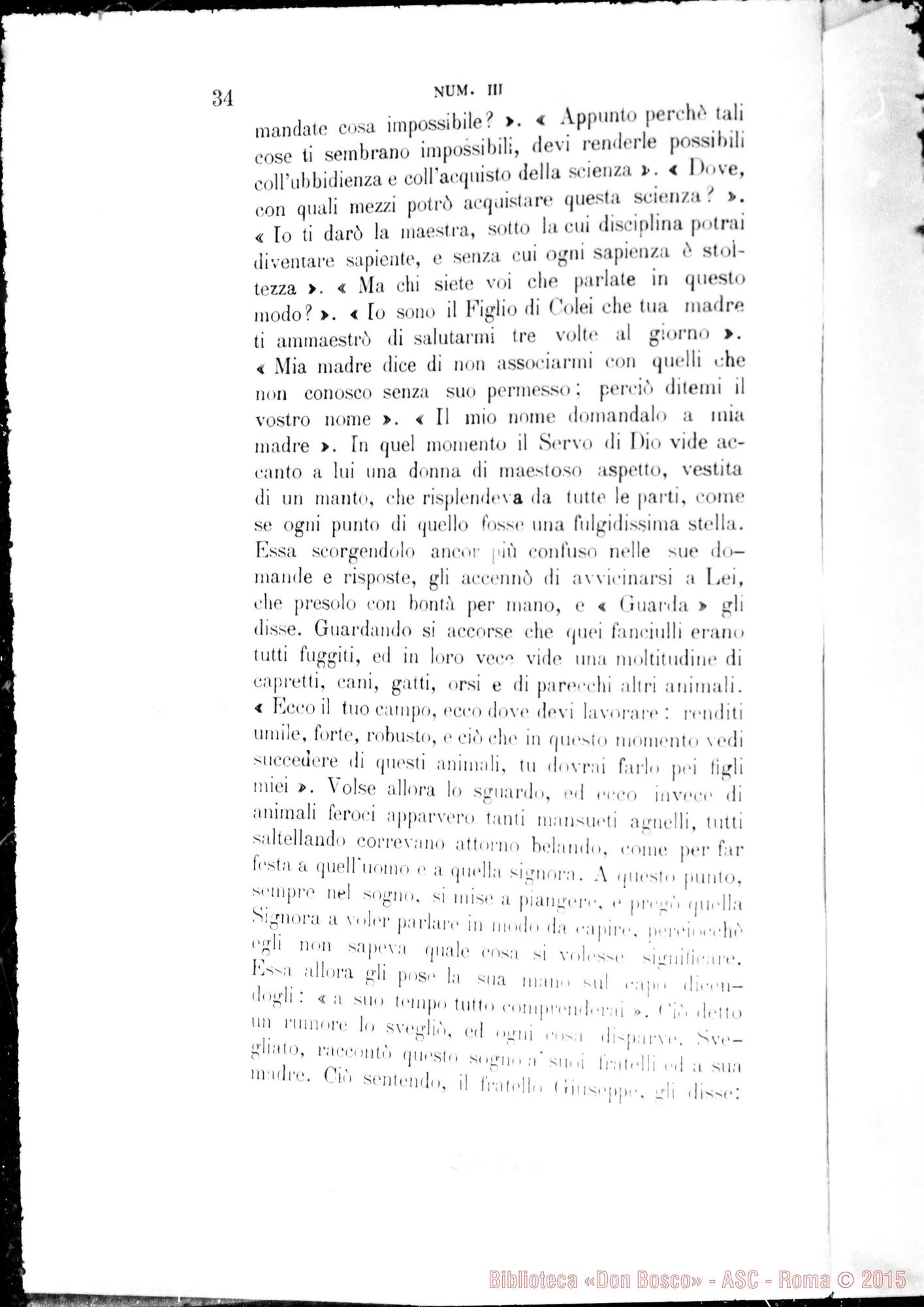 Fotogramma E 2 — Summarium