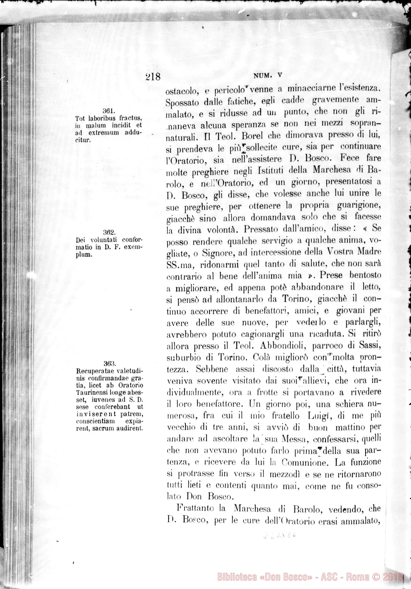 Fotogramma E 6