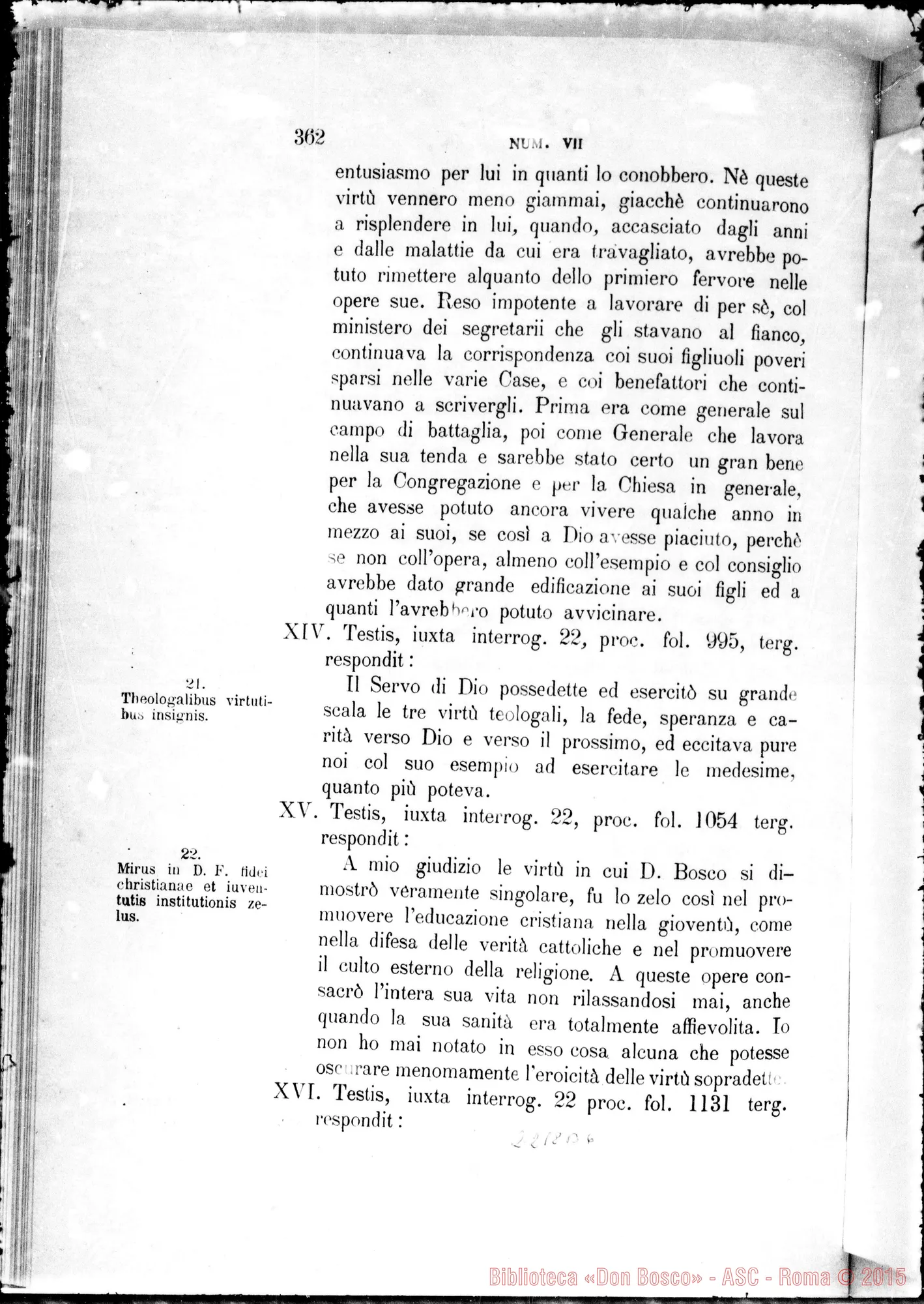Fotogramma B 6