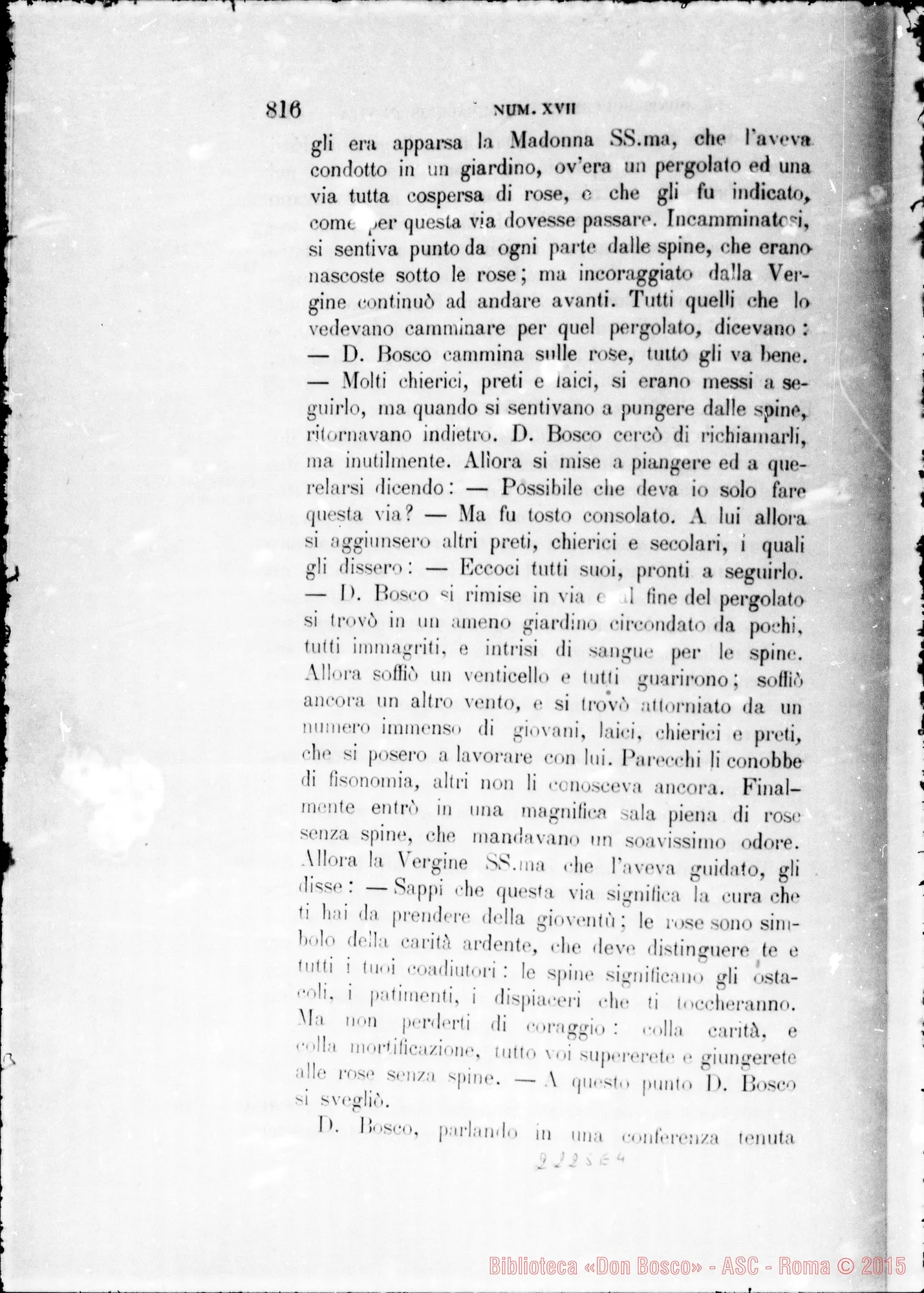 Fotogramma E 4