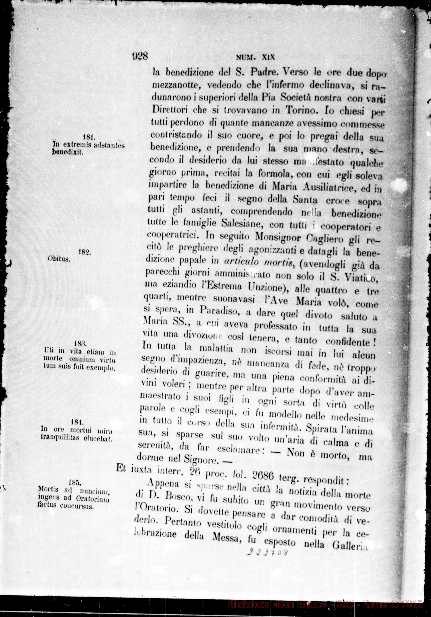 Fotogramma D 8