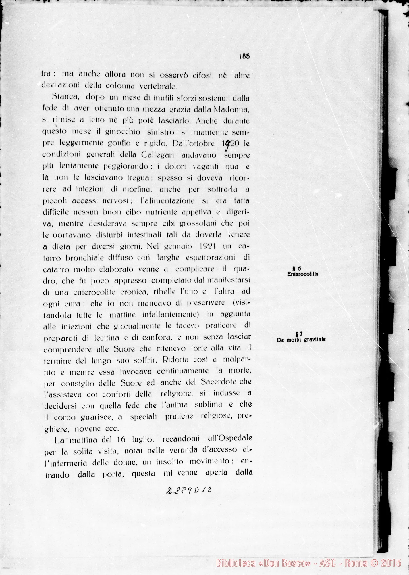 Fotogramma D 12