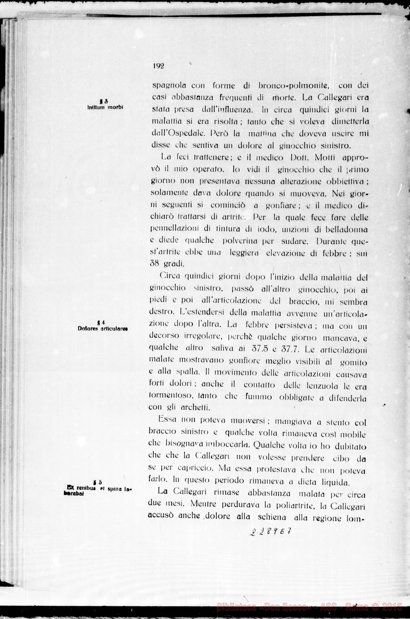 Fotogramma E 7