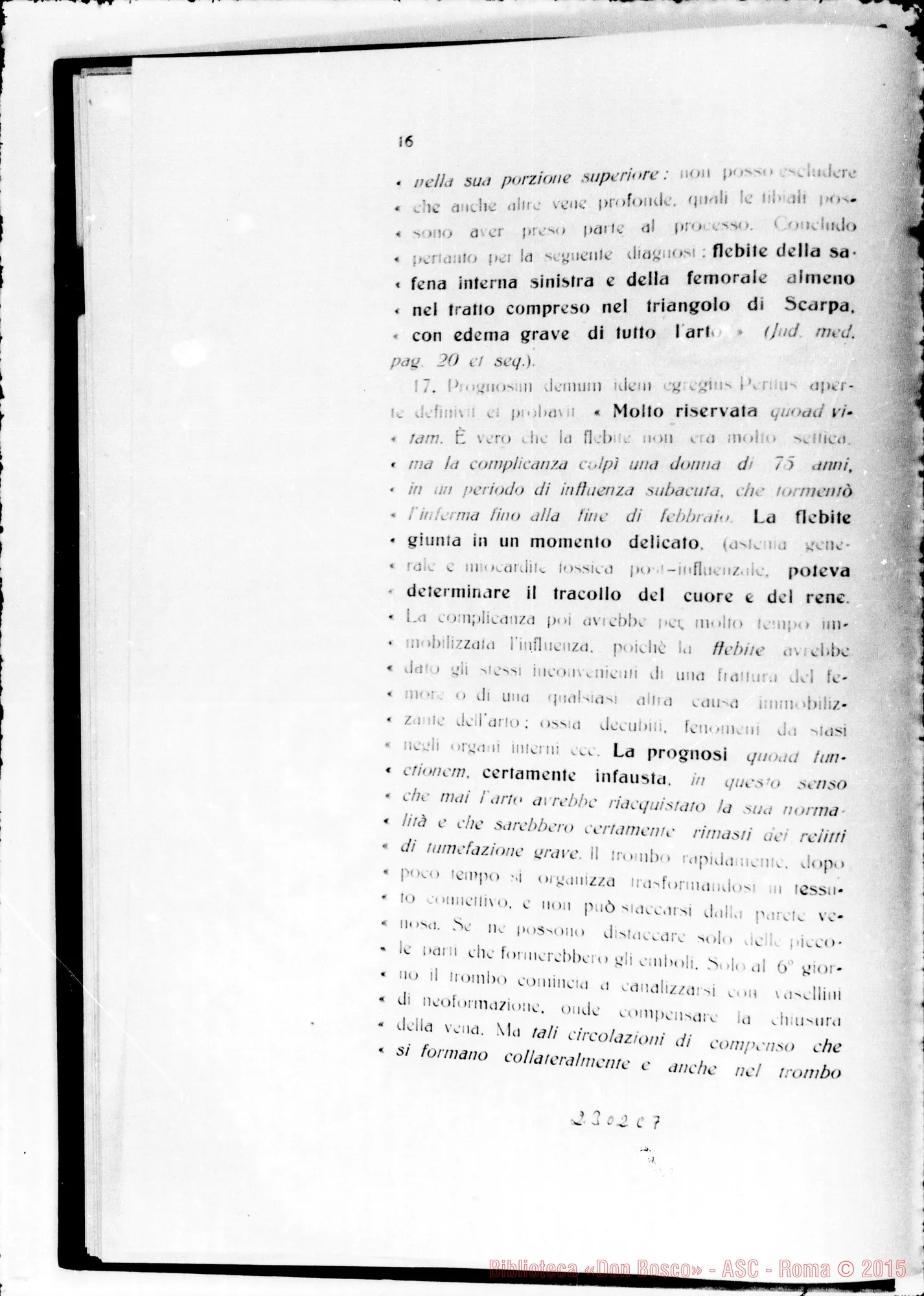 Fotogramma C 7 — Summarium