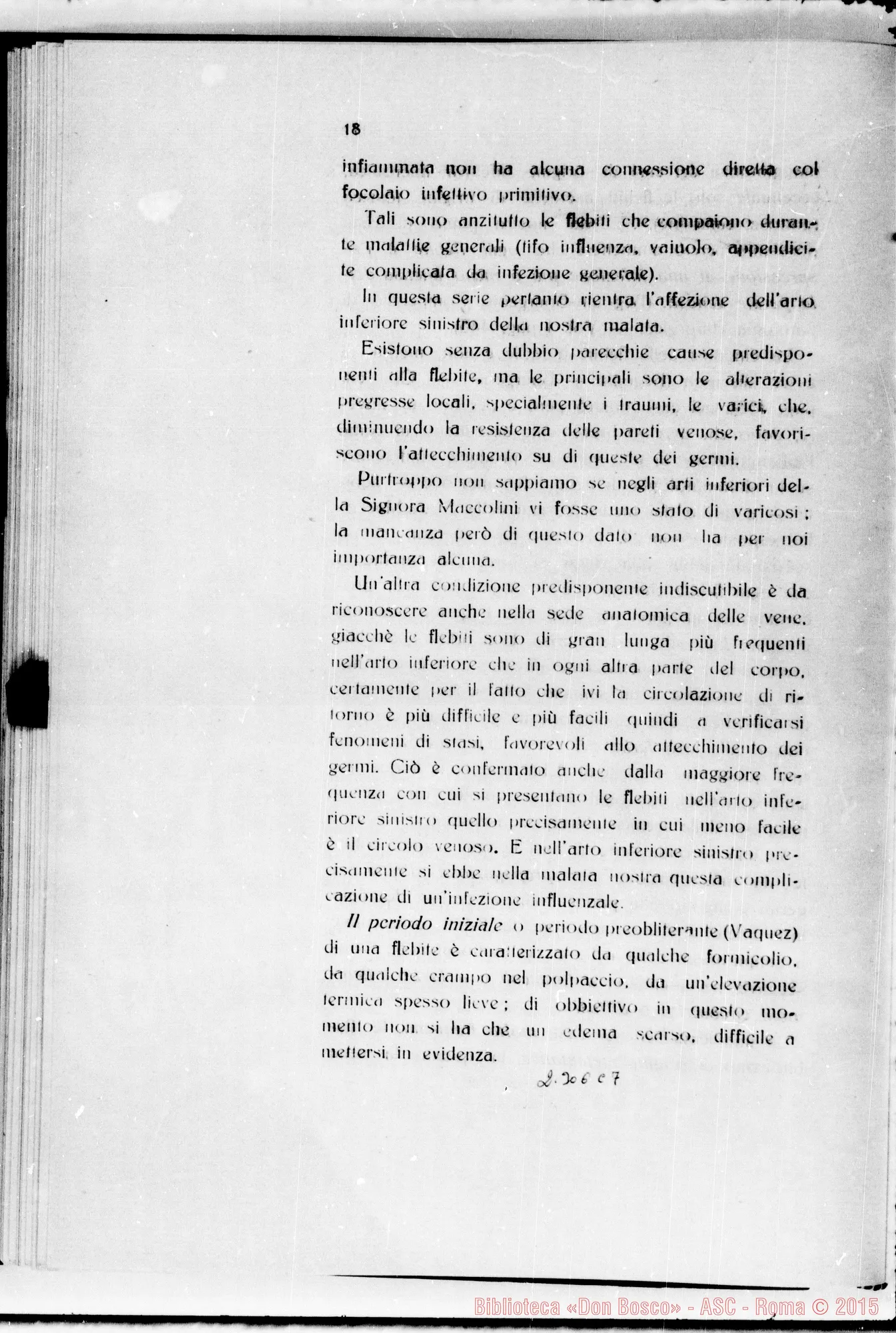 Fotogramma C 7