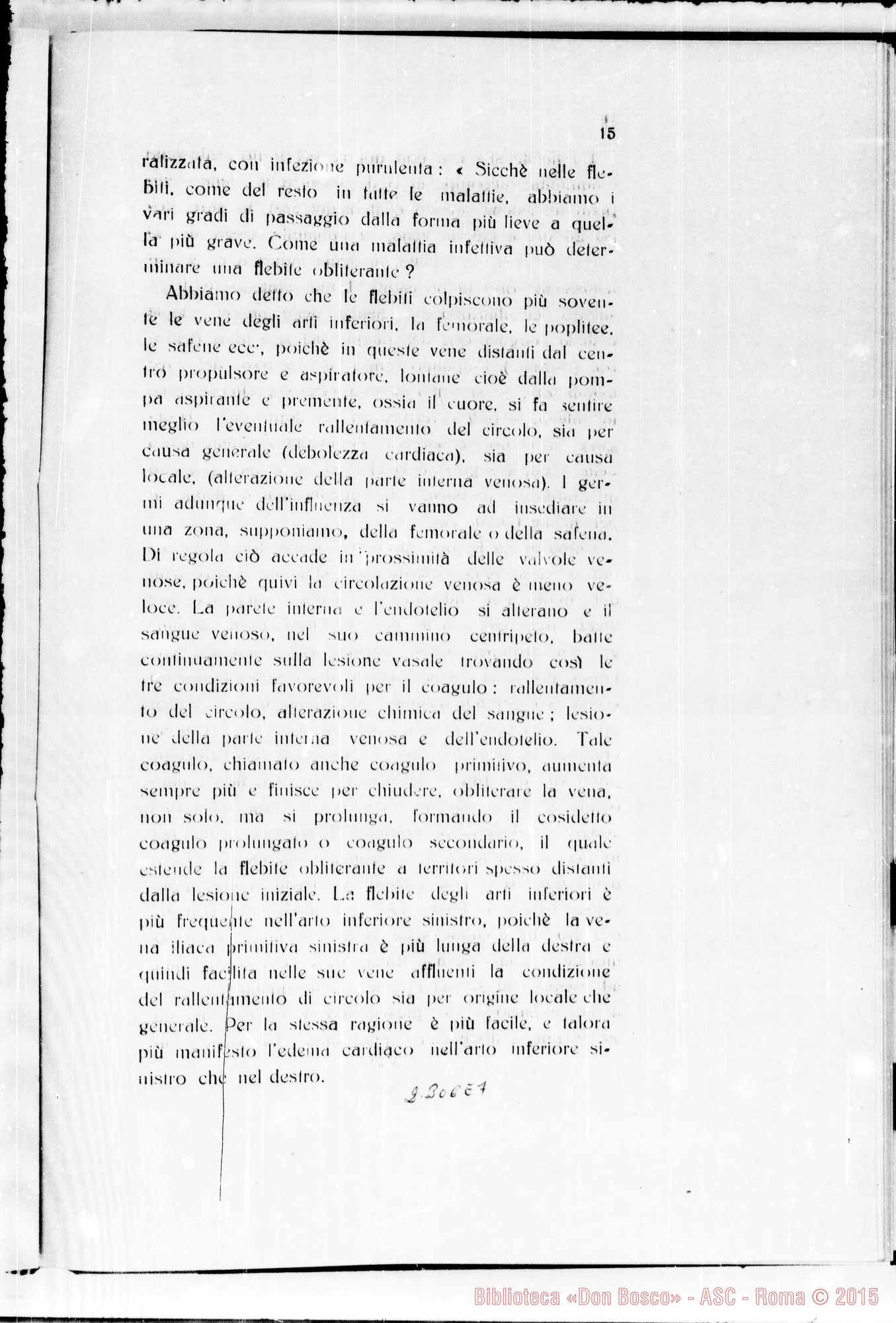 Fotogramma E 7