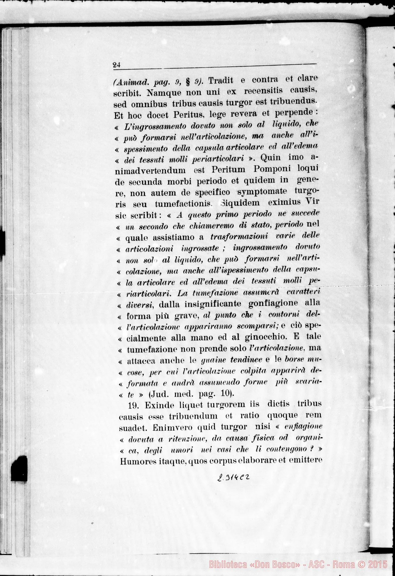 Fotogramma C 2