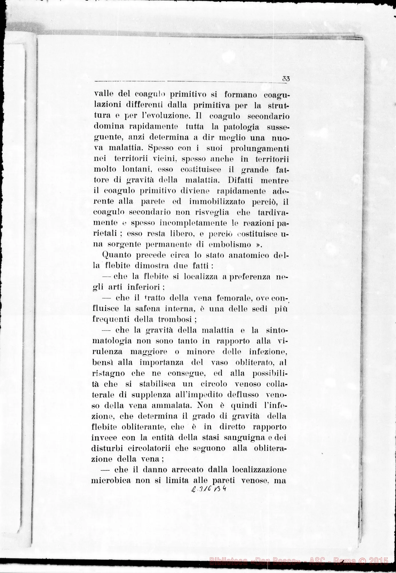 Fotogramma B 4