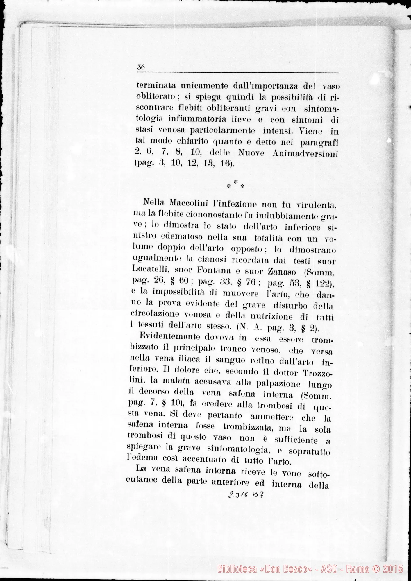 Fotogramma B 7