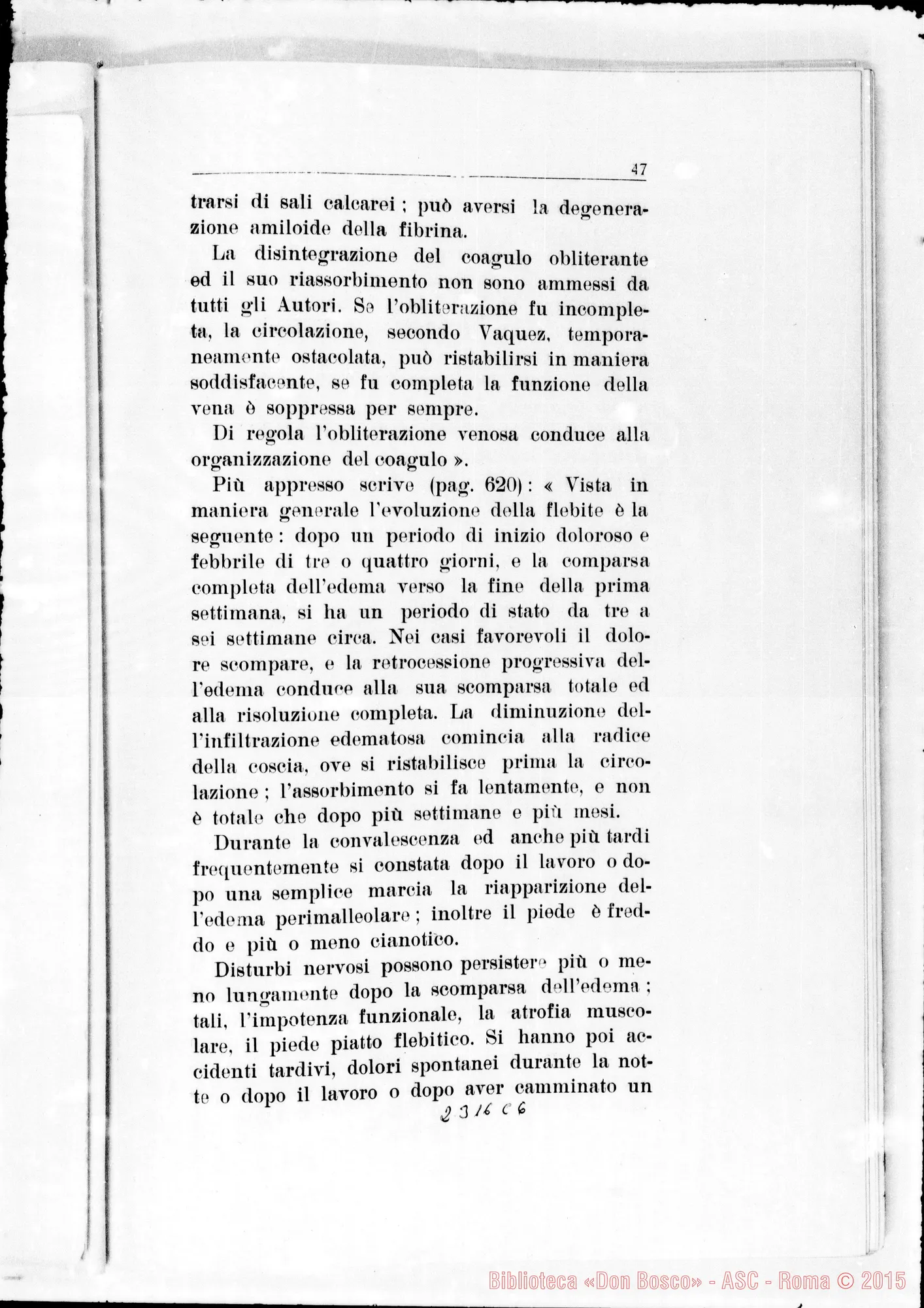 Fotogramma C 6