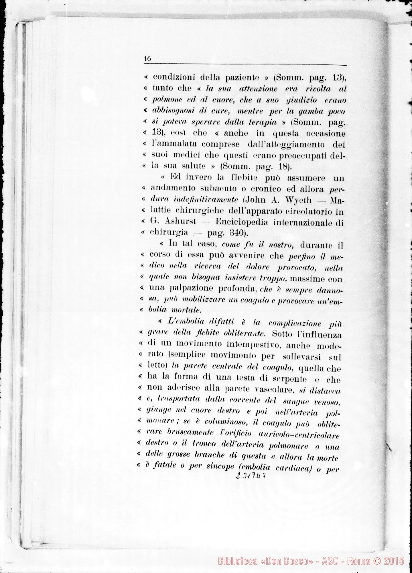 Fotogramma D 7