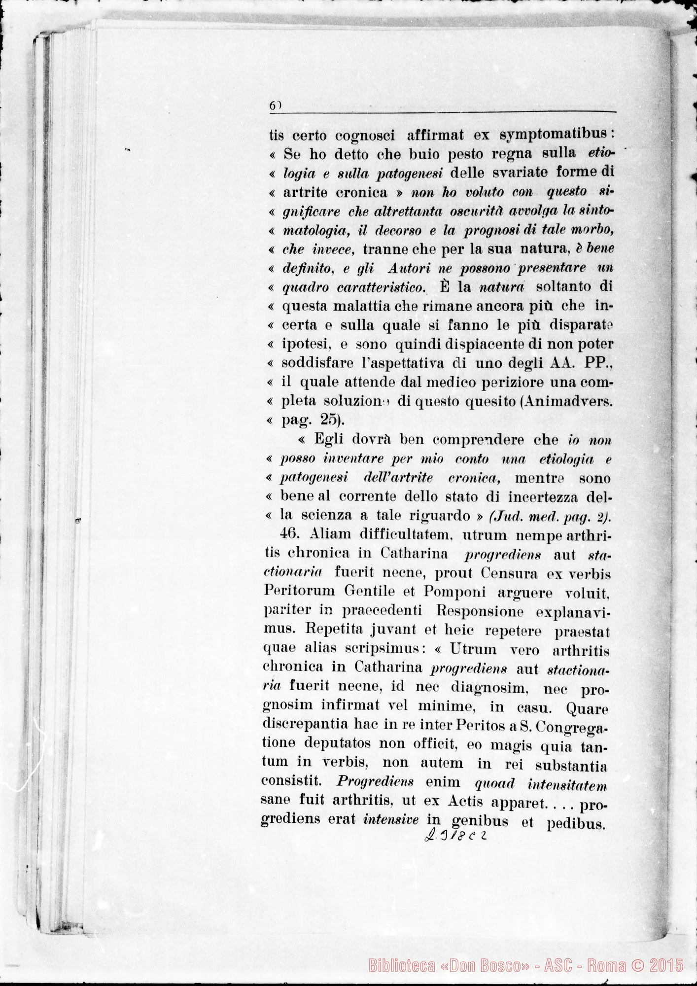 Fotogramma C 2