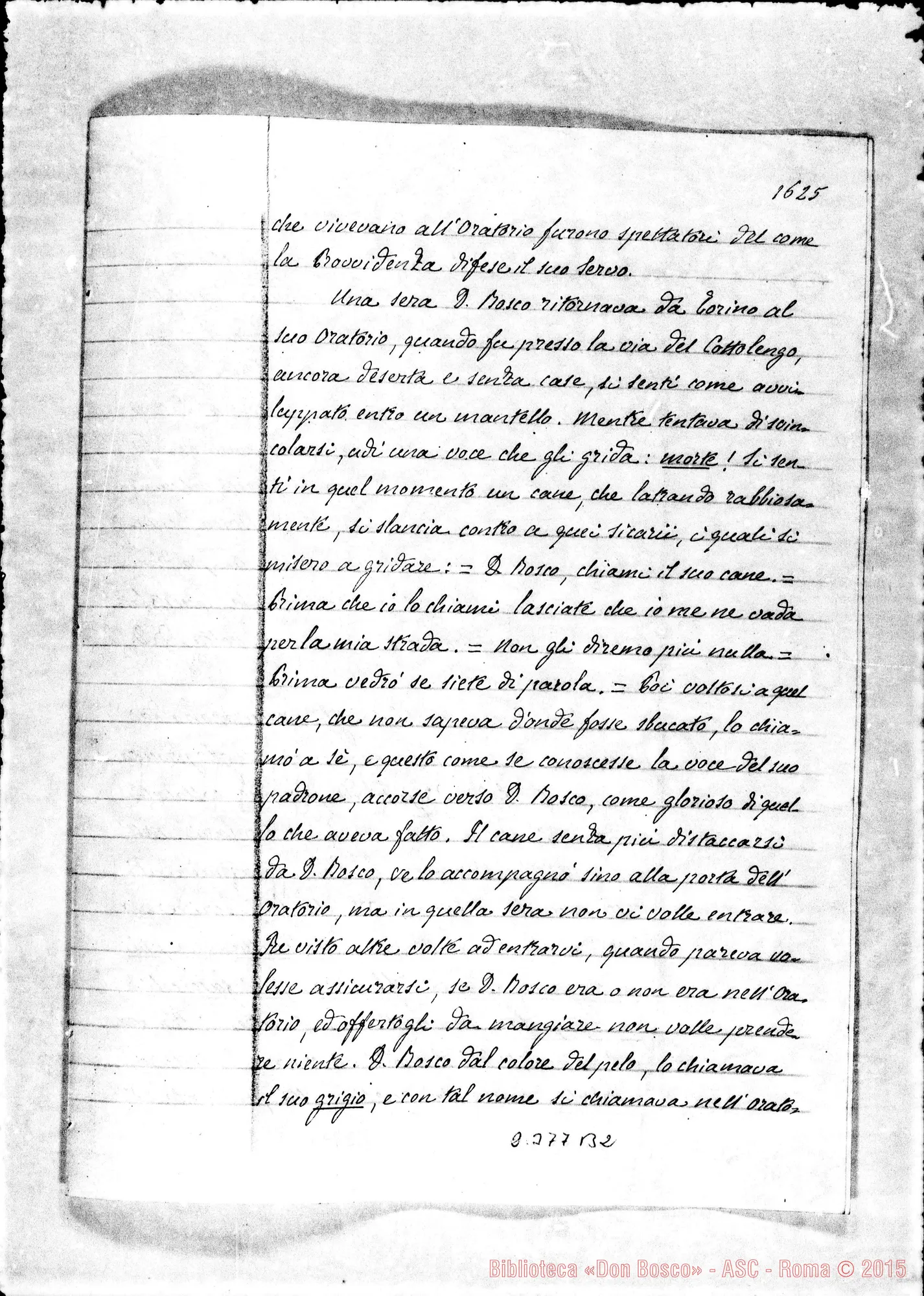 Fotogramma B 2