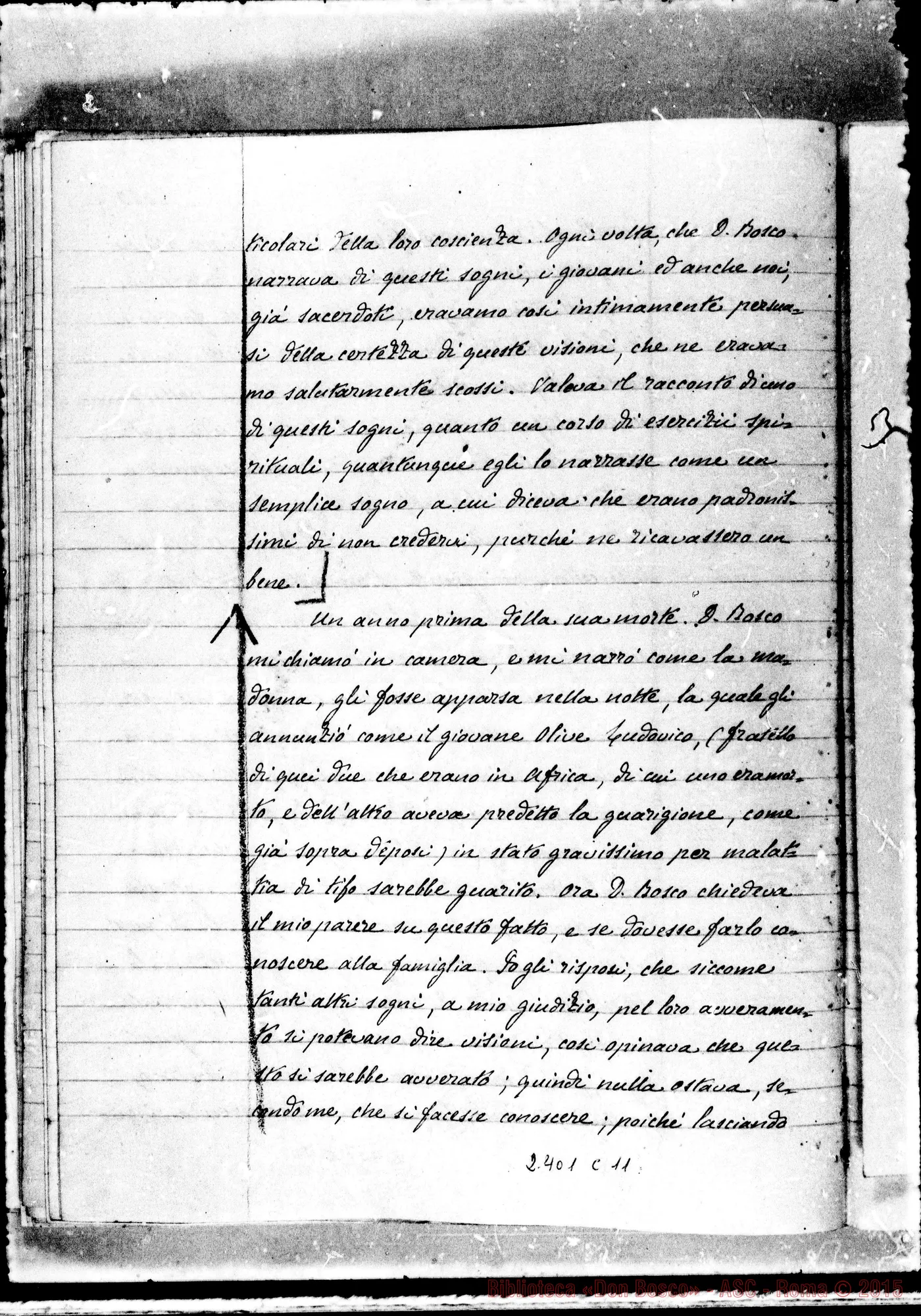 Fotogramma C 11