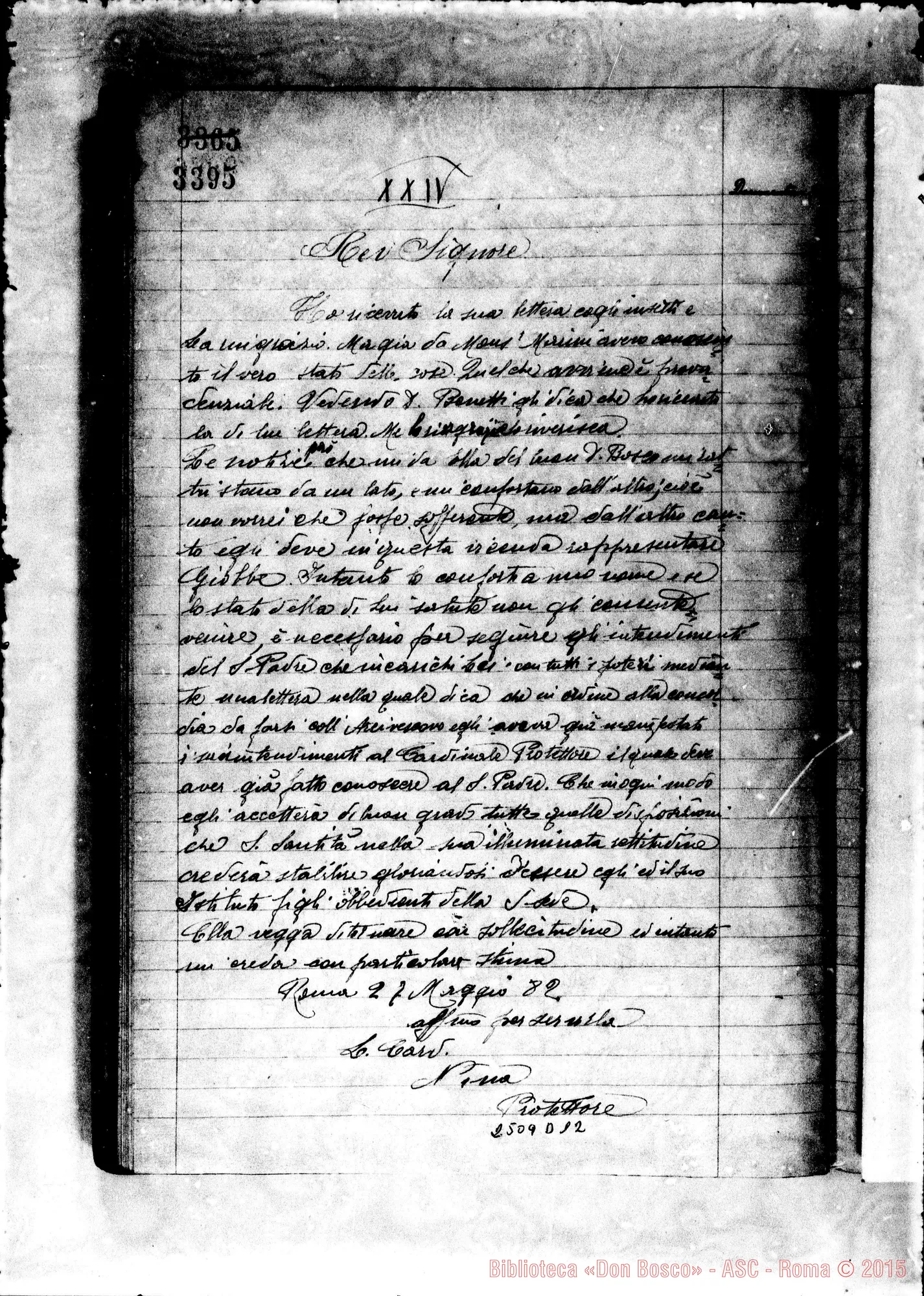 Fotogramma D 12 — Angelus Amadei