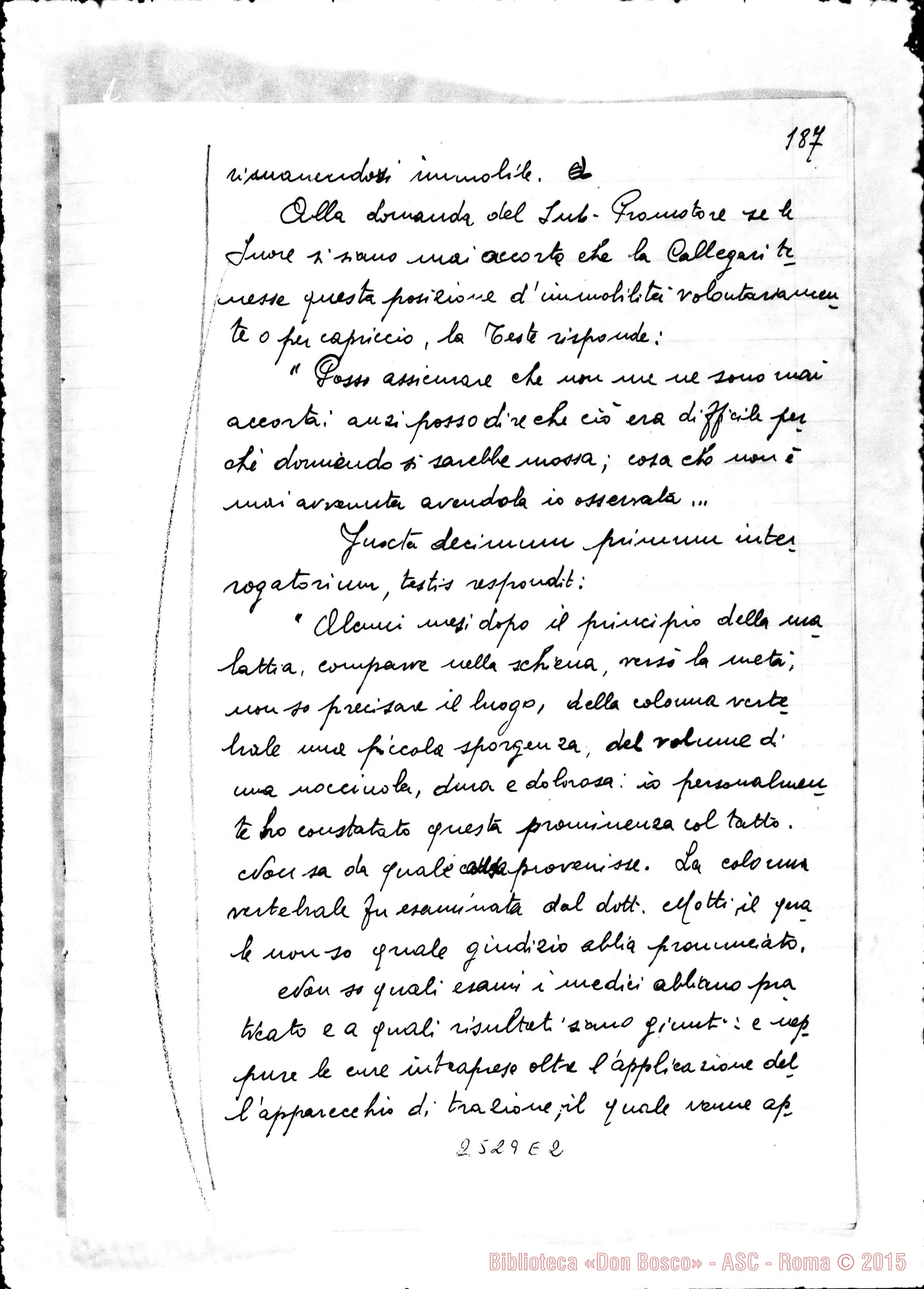 Fotogramma E 2