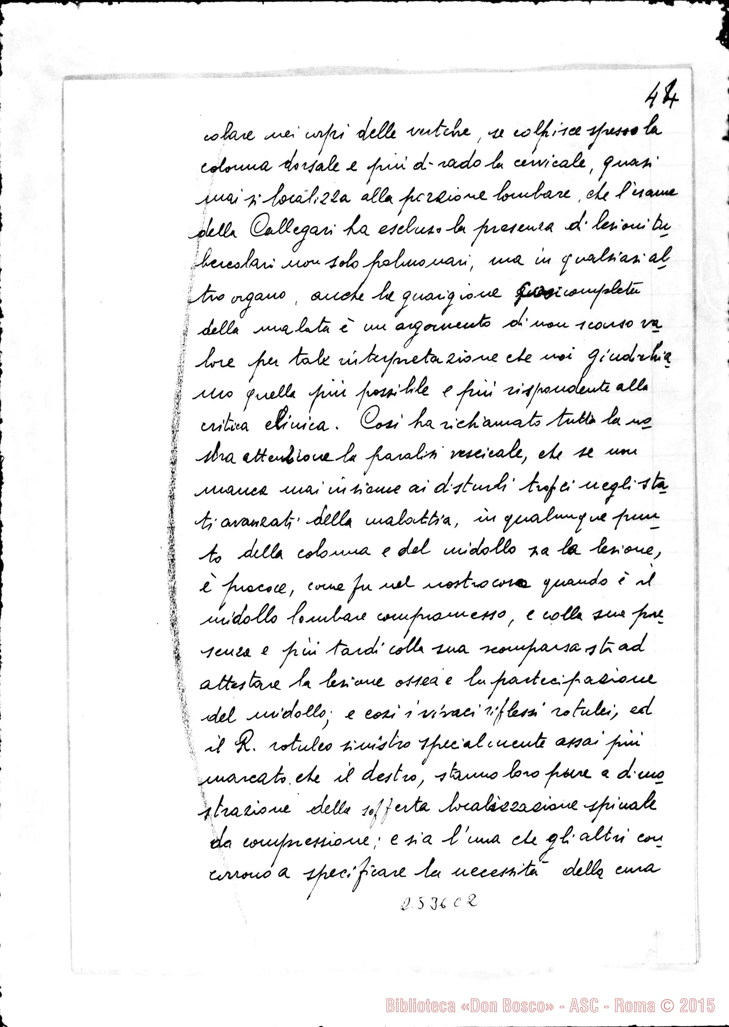 Fotogramma C 2