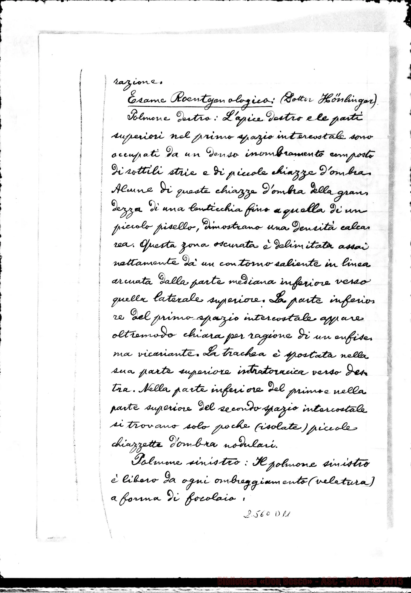 Fotogramma D 11