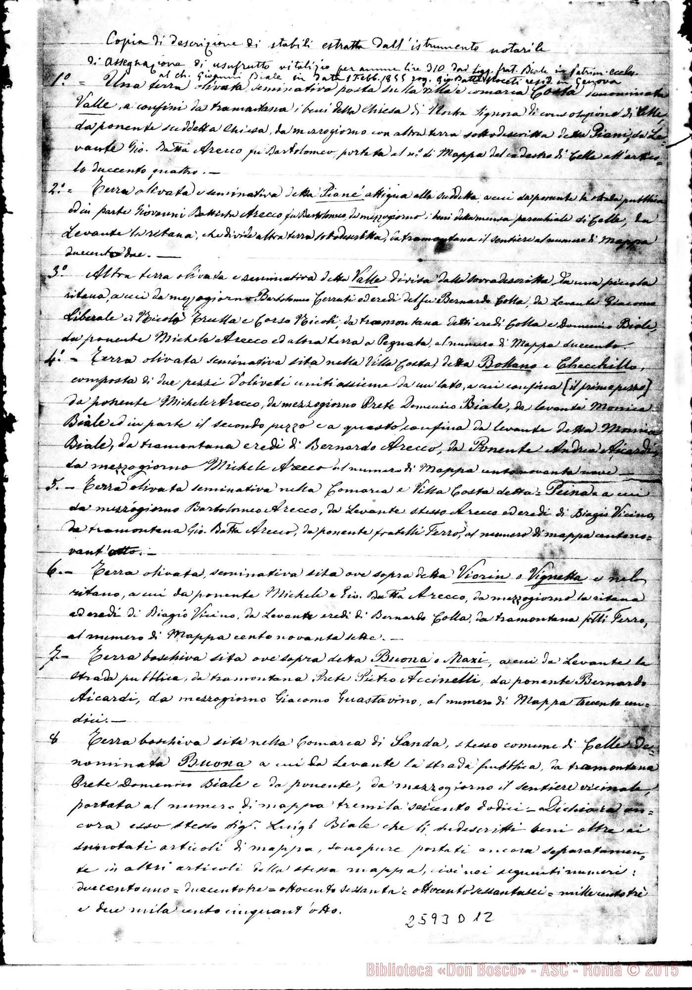 Fotogramma D 12 — Certificato di catasto. Copia. 20-05-1884. Autogr. Rua