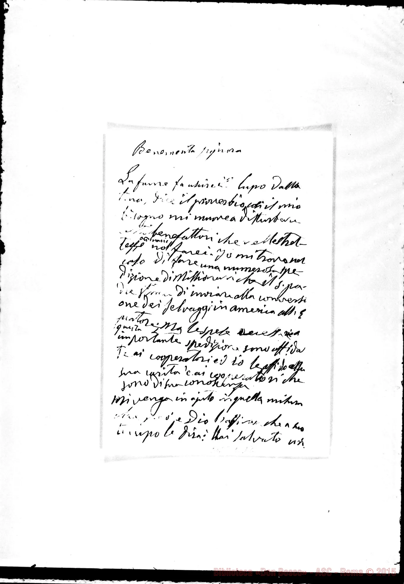 Fotogramma C 12 — Zavaglia Teresa, signora. Torino, 7-11-1877