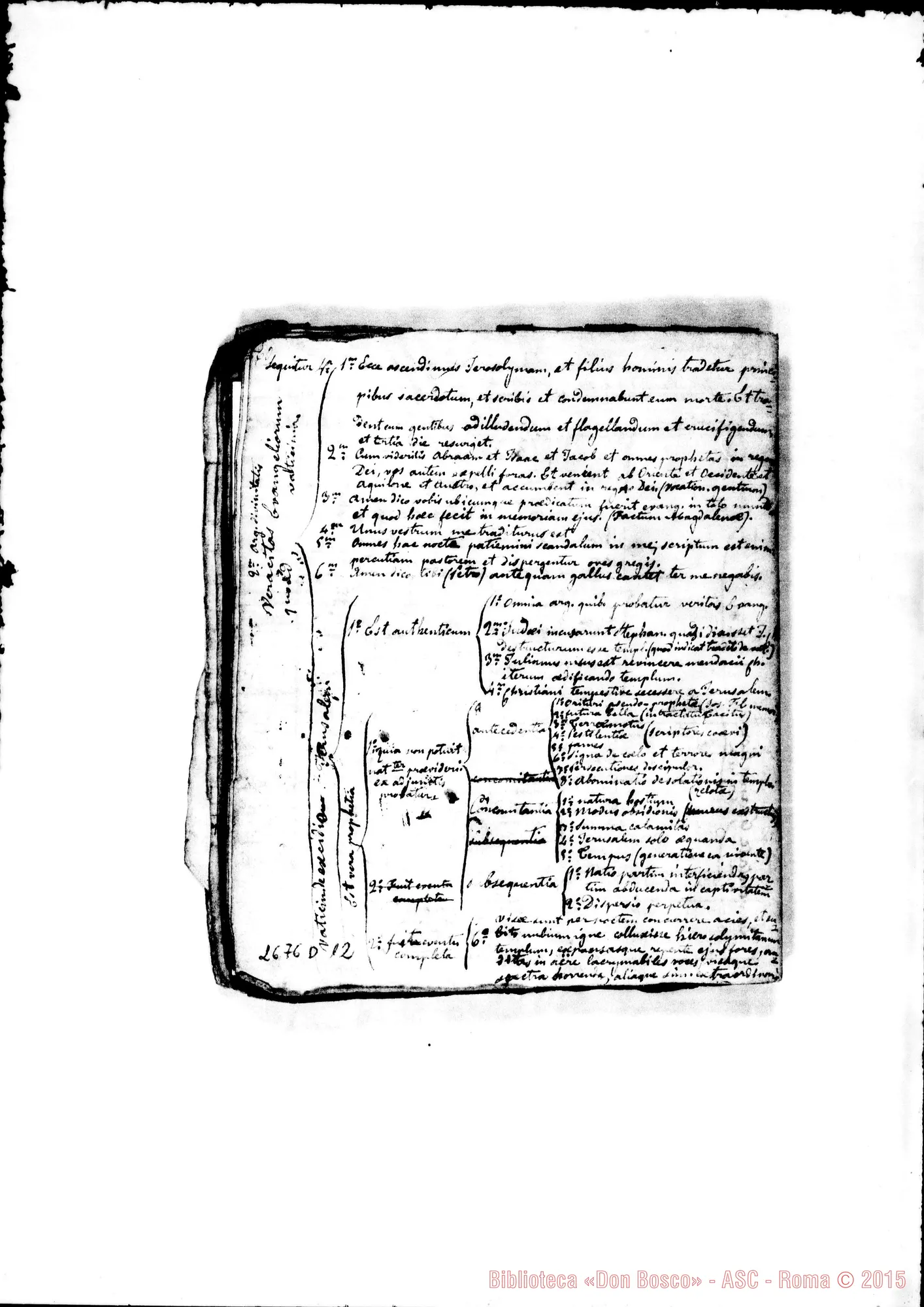 Fotogramma D 12