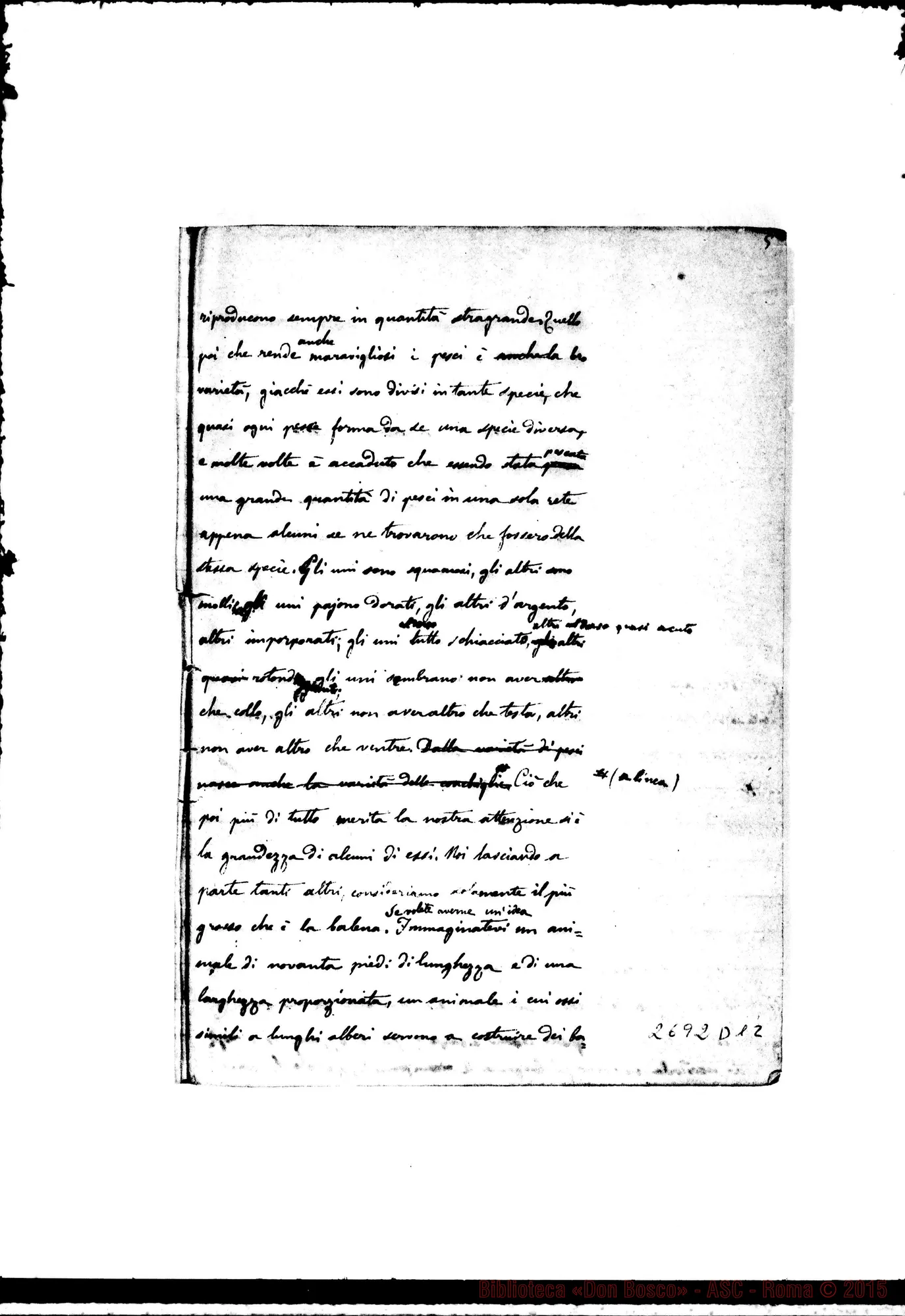 Fotogramma D 12 — Quaderno 2