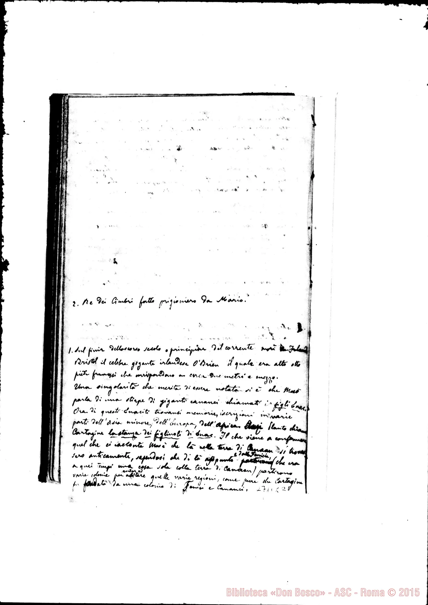 Fotogramma C 2