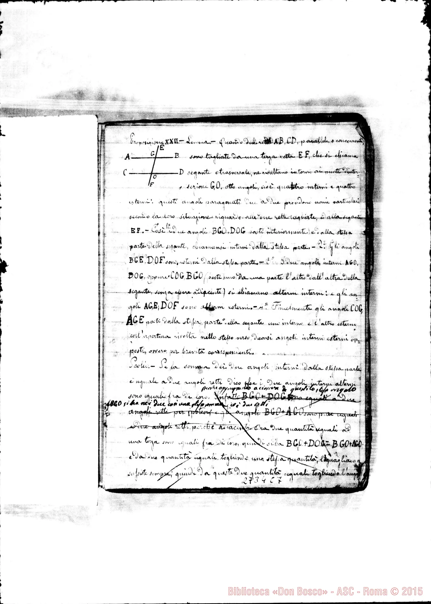 Fotogramma C 7
