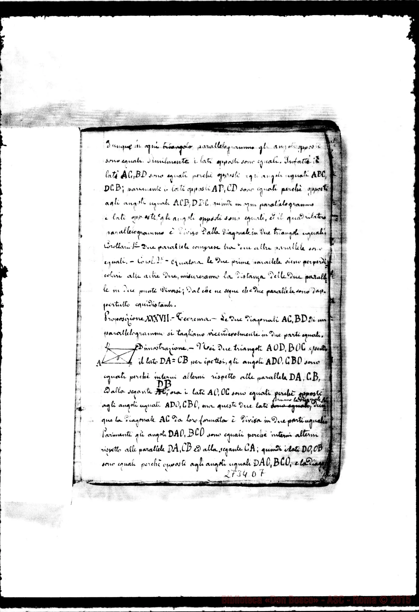 Fotogramma D 7
