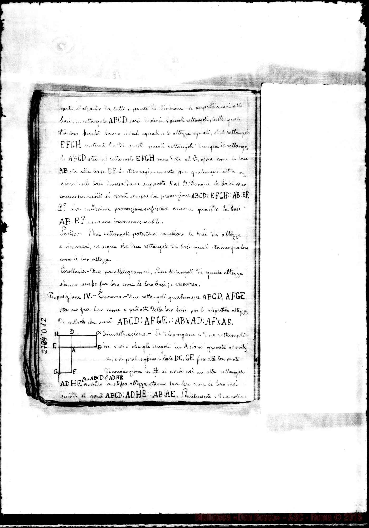 Fotogramma D 12