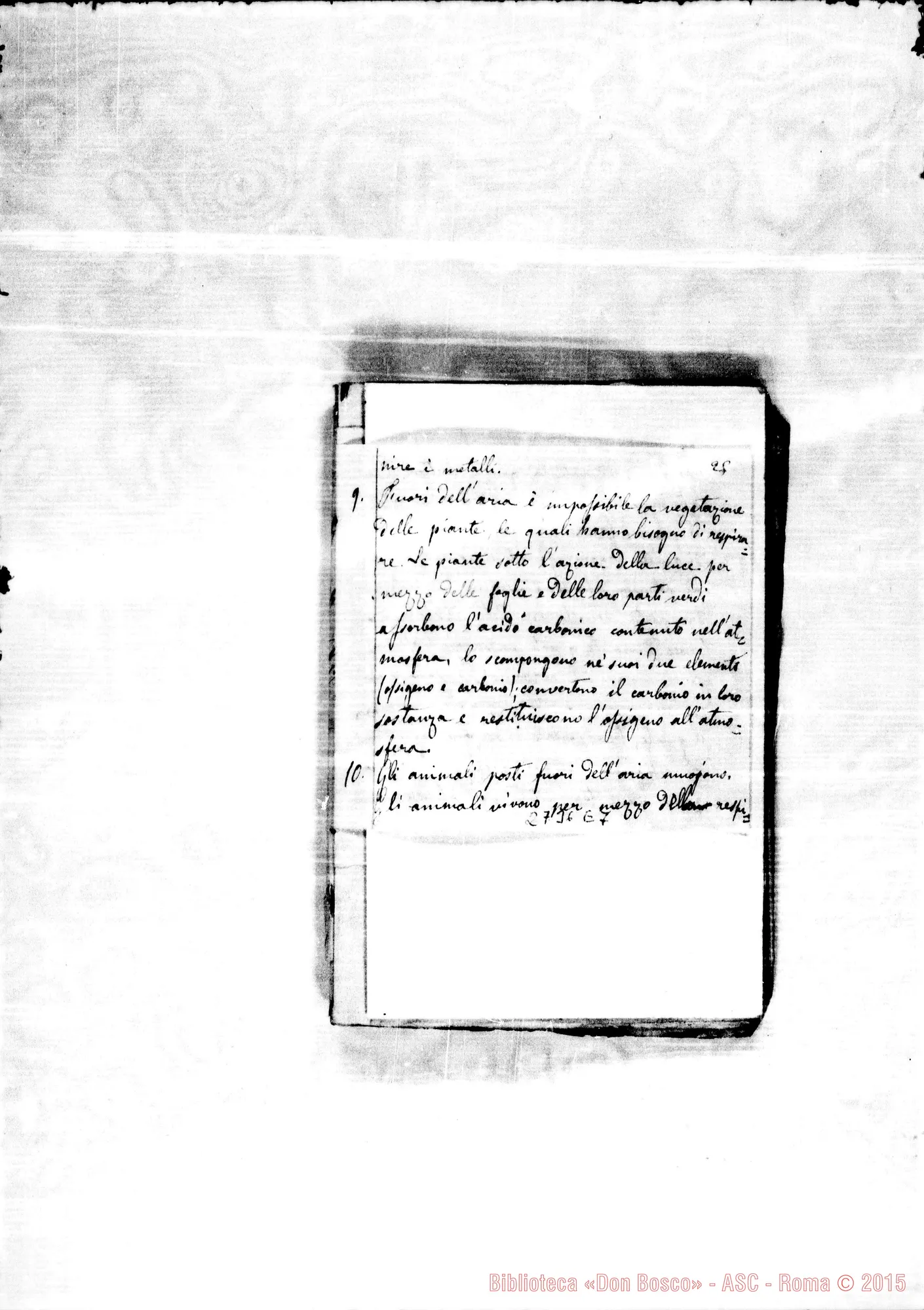 Fotogramma E 7 — Quadernetto: Dimande E risposte di Storia Naturale. Inseriti anche altri argomenti