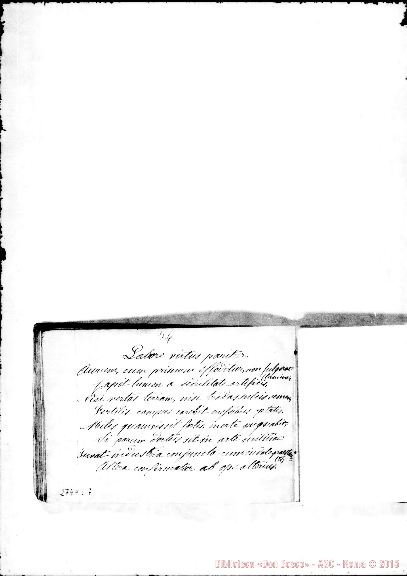 Fotogramma C 7