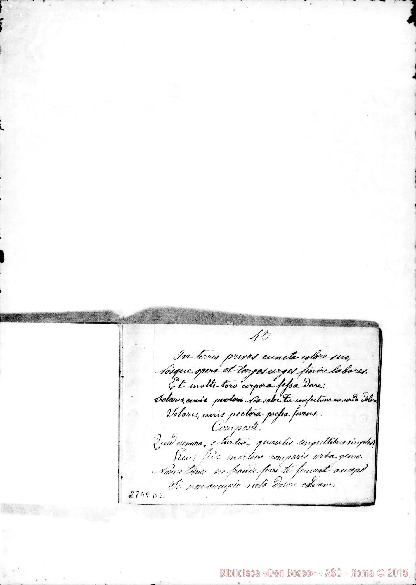Fotogramma D 2
