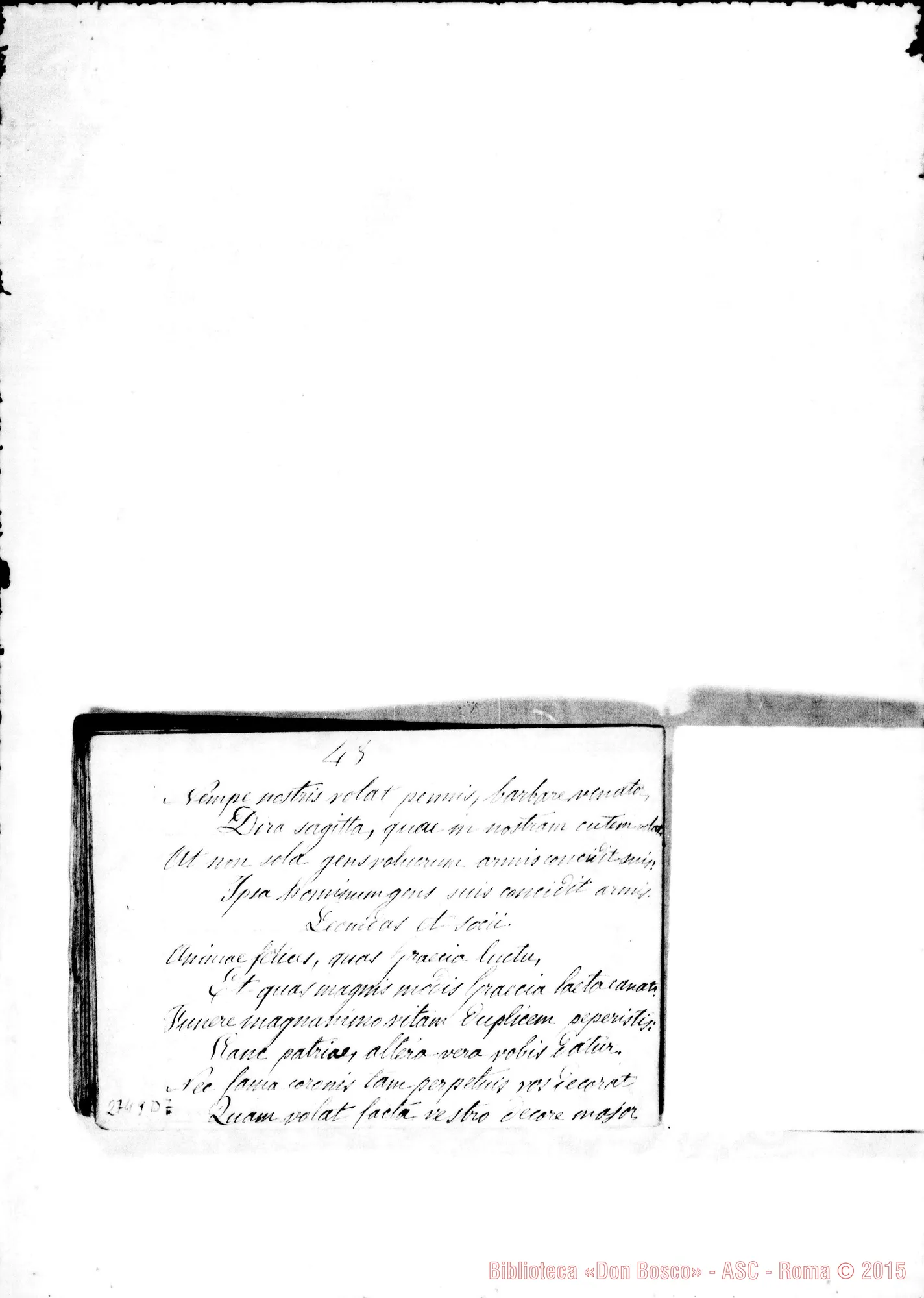 Fotogramma D 7
