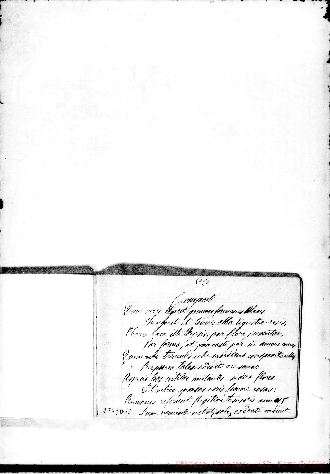 Fotogramma D 12