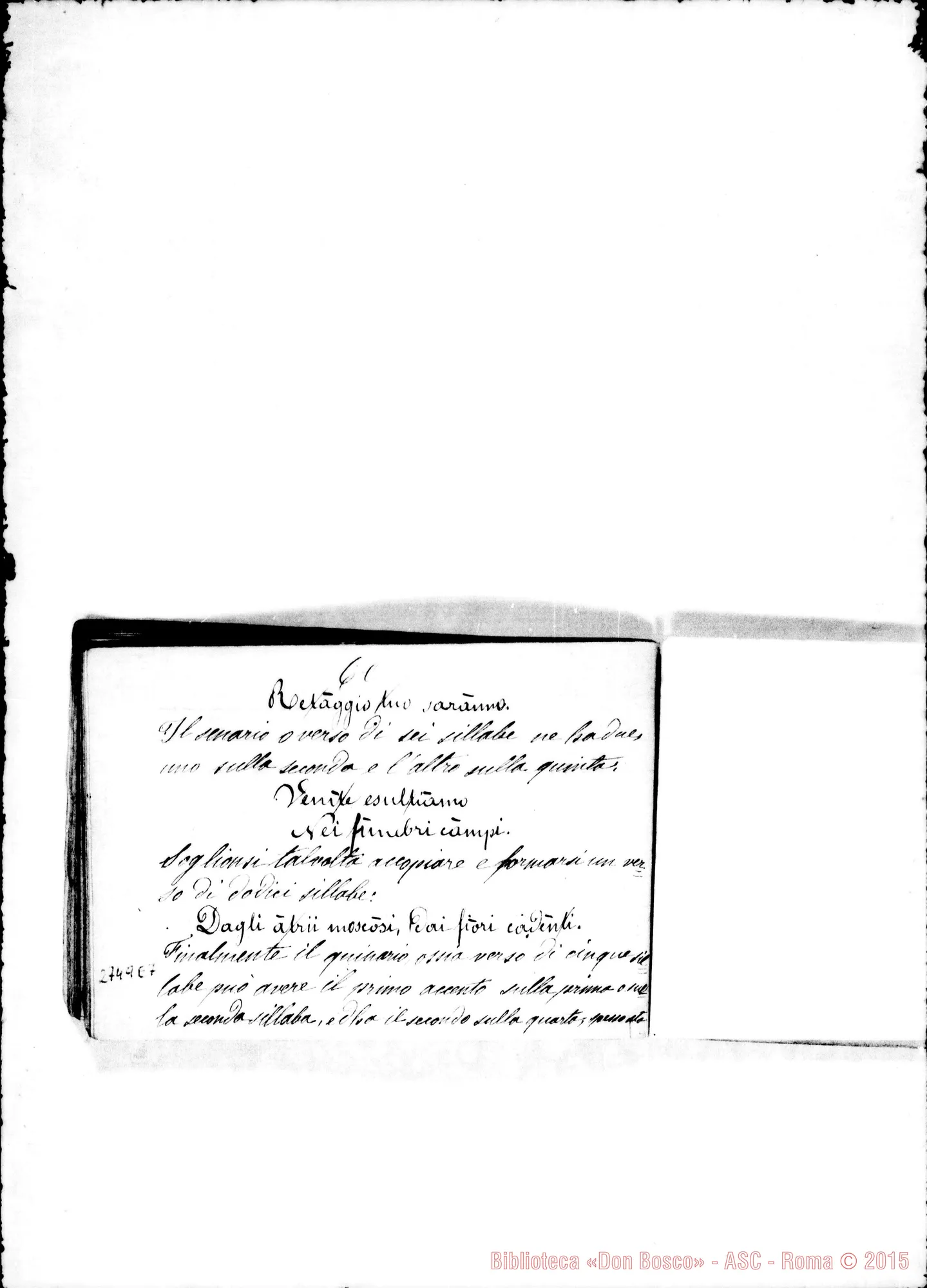 Fotogramma E 7