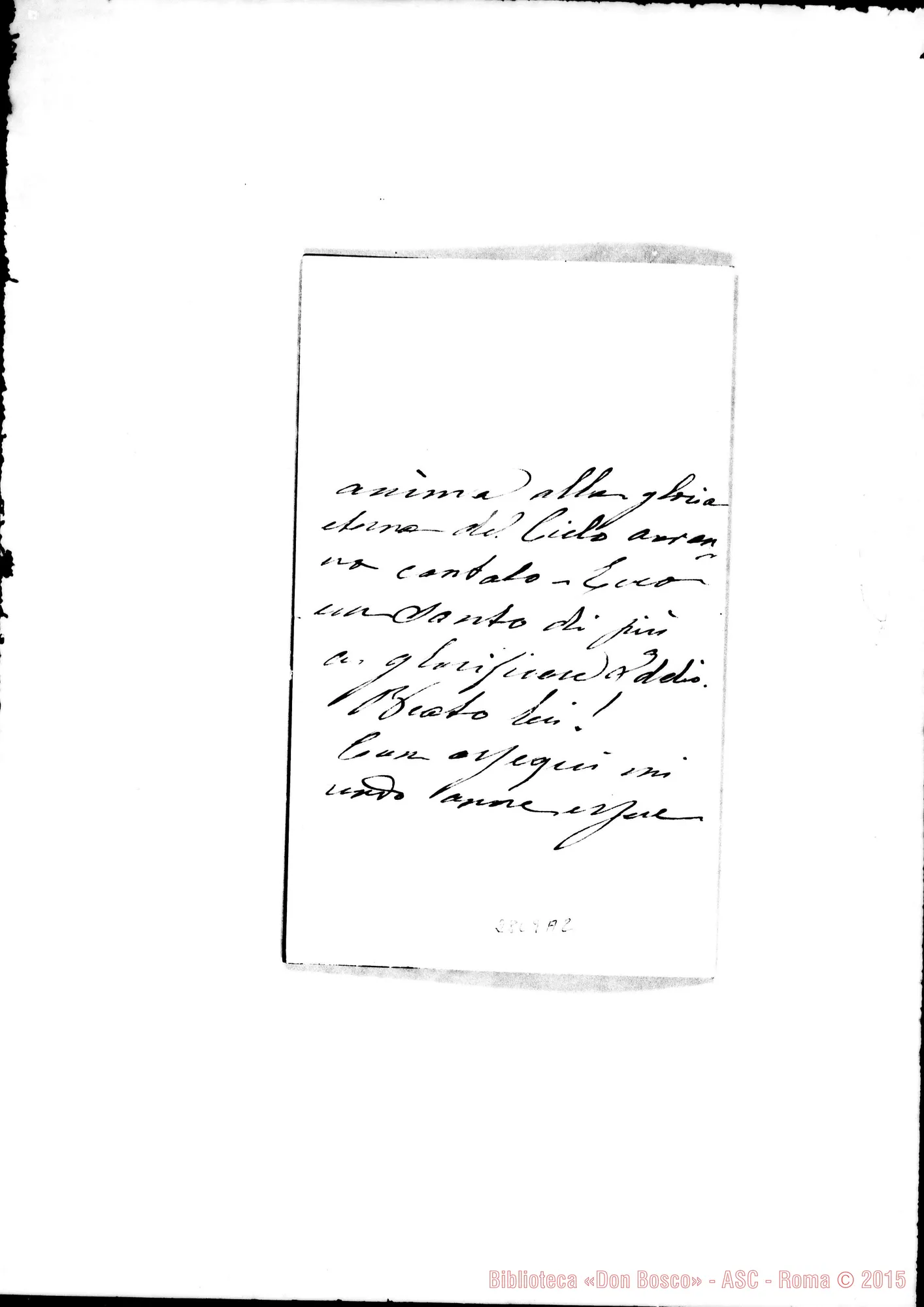 Fotogramma A 2 — Ceribelli Marchessi Marianna. Castagneto