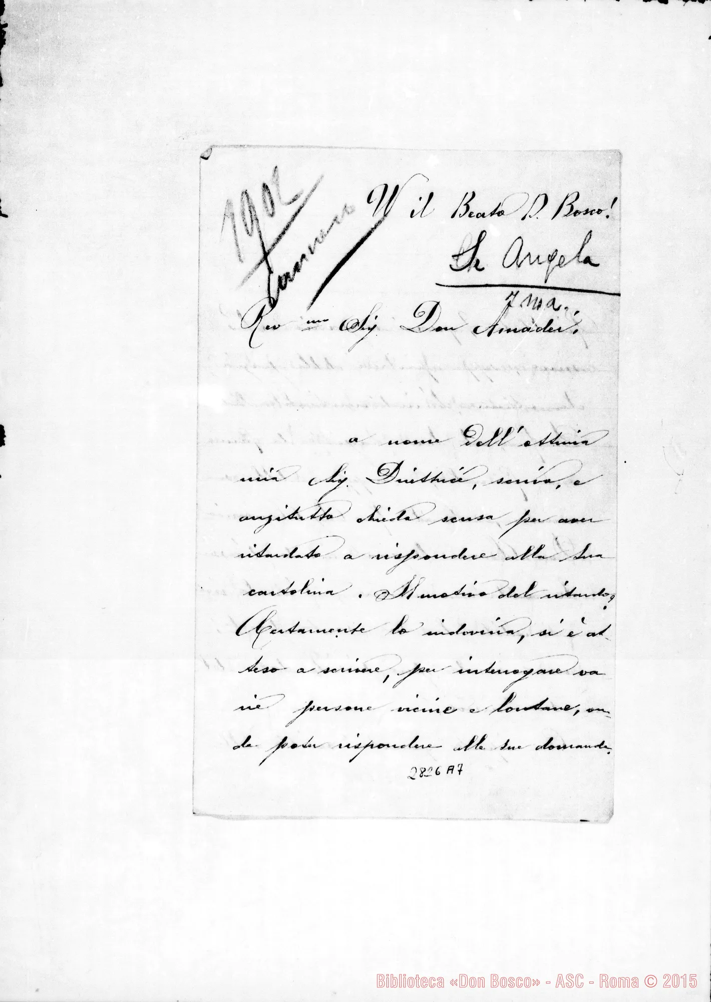 Fotogramma A 7 — Angela, Suor, FMA: Lettera A D. Amadei. s.d. E s.l.
