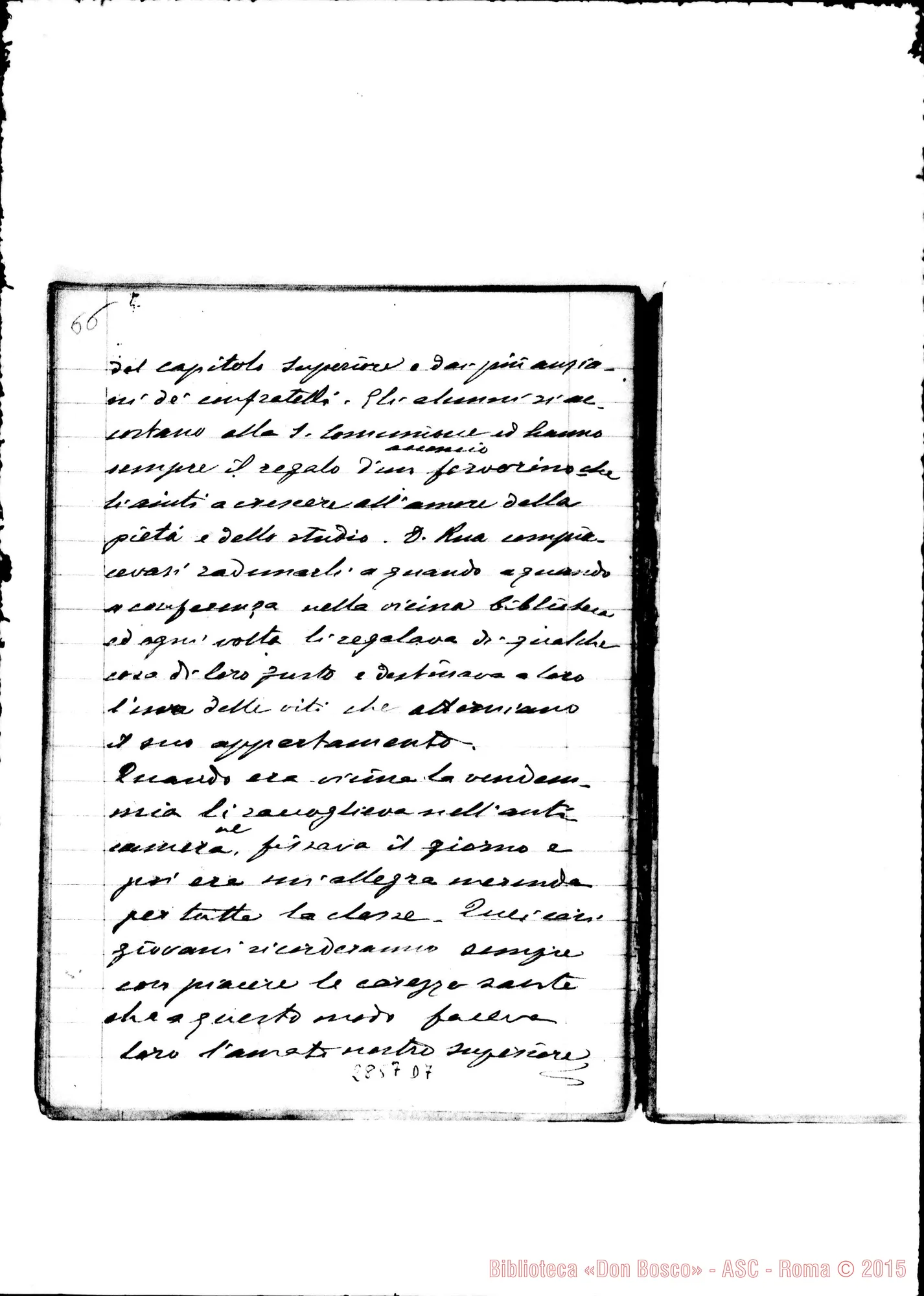 Fotogramma D 7