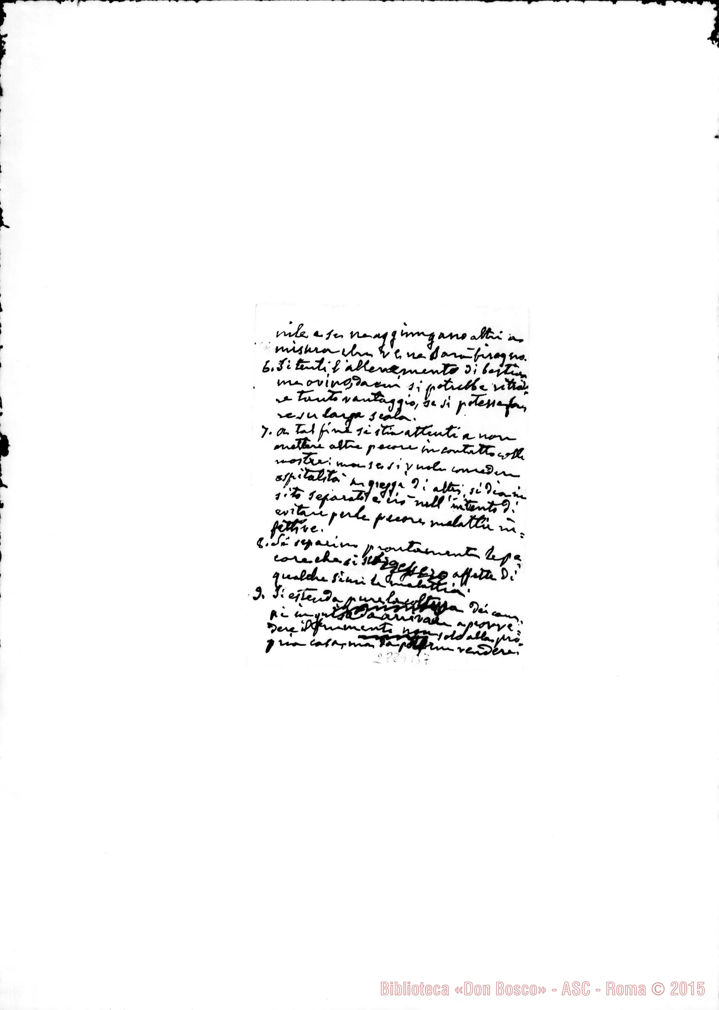Fotogramma B 7 — Schema di conferenze: «Mettere per base l’osservanza delle nostre Regole»