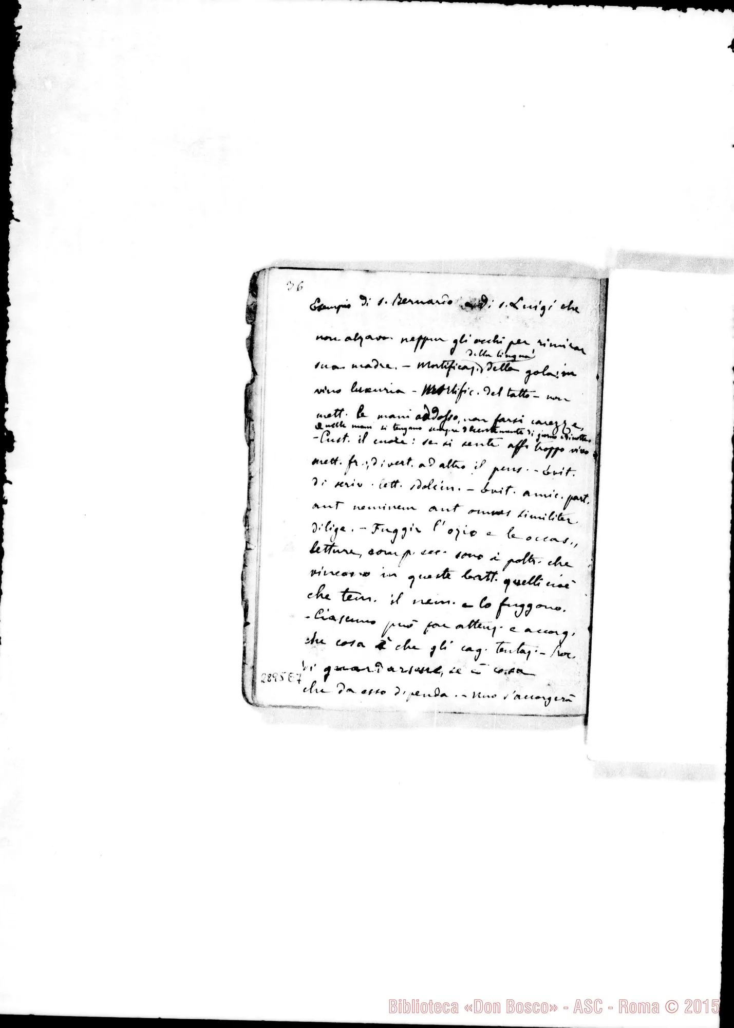 Fotogramma E 7 — Della castità