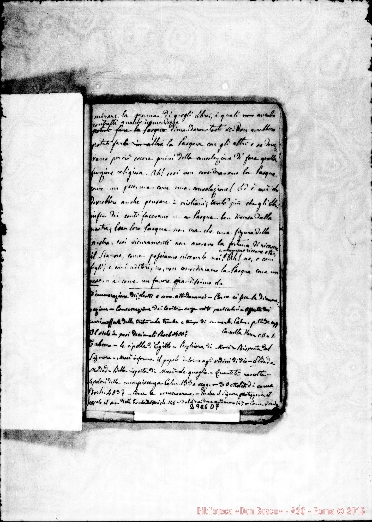 Fotogramma D 7