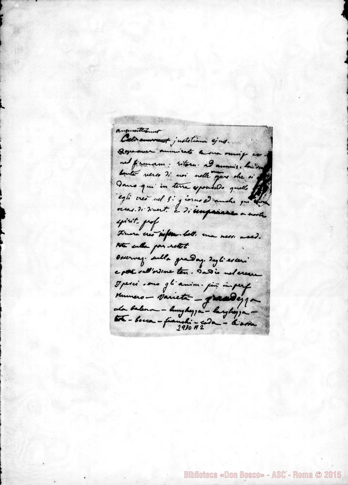 Fotogramma A 2 — S. Giuseppe: purità