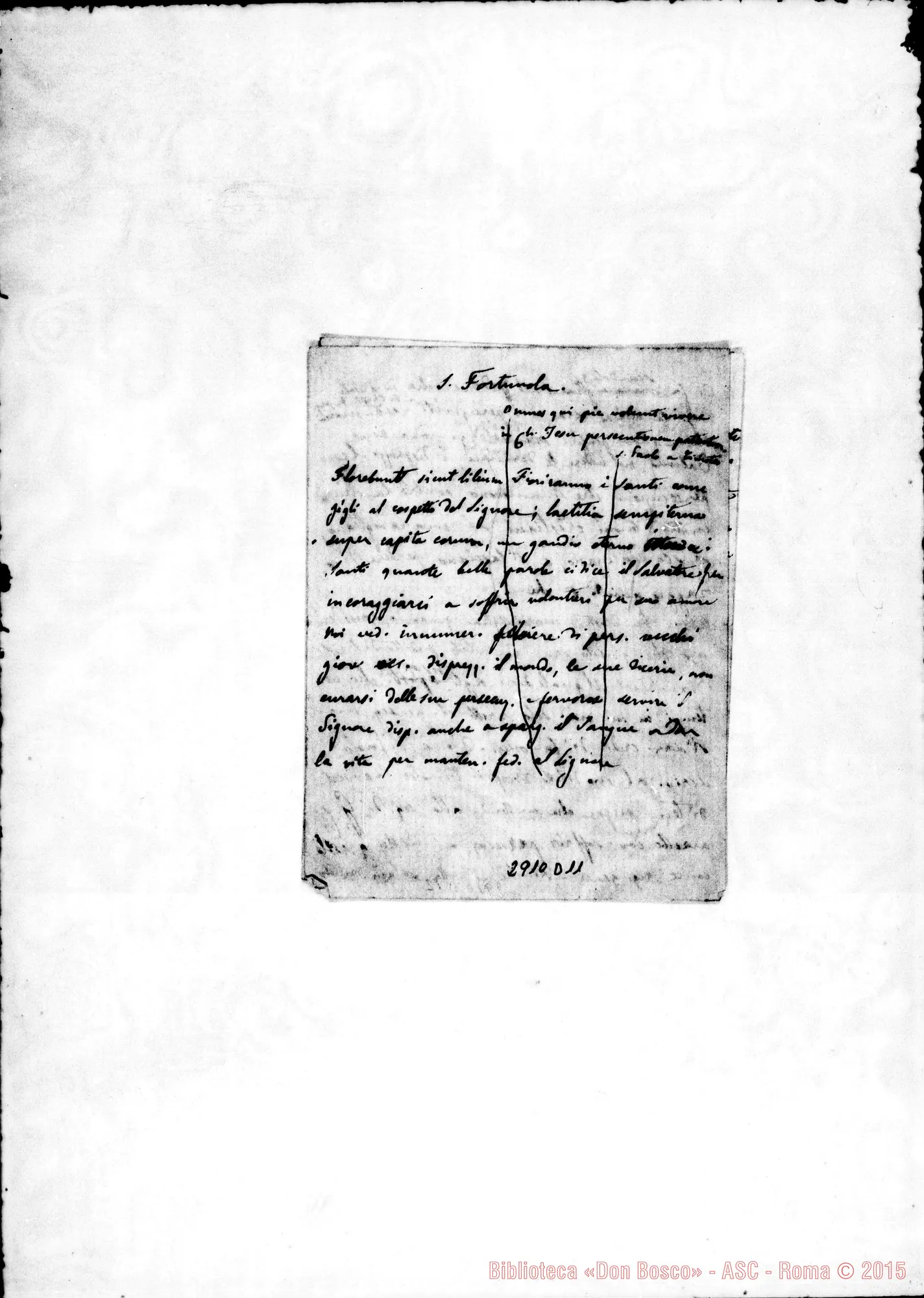 Fotogramma D 11 — S. Fortunola