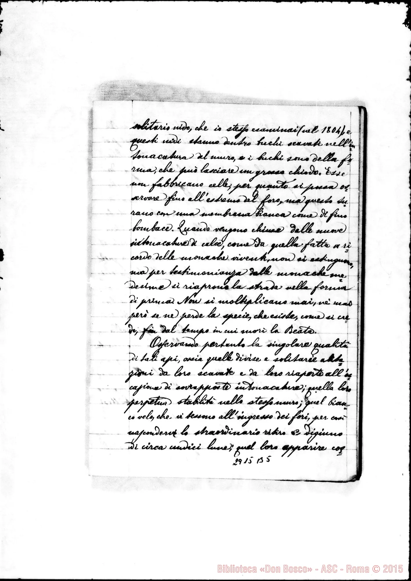 Fotogramma B 5 — Prediche: Quaderno: Estratto dalla vita della B. Rita di Cascia, scritta dal P. Lorenzo Tardy. Ms. allografo