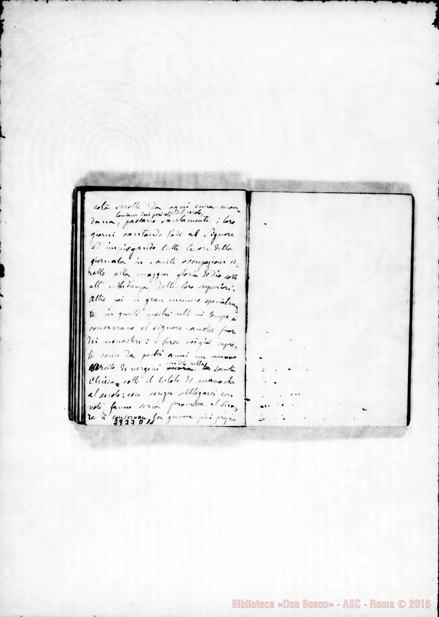 Fotogramma D 11