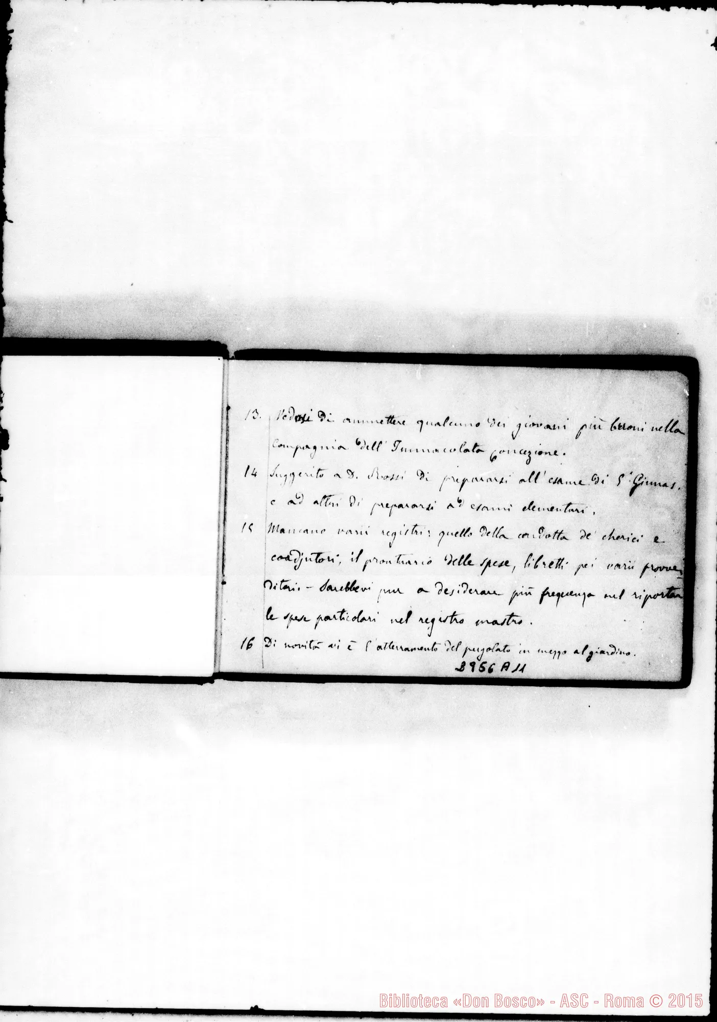 Fotogramma A 11