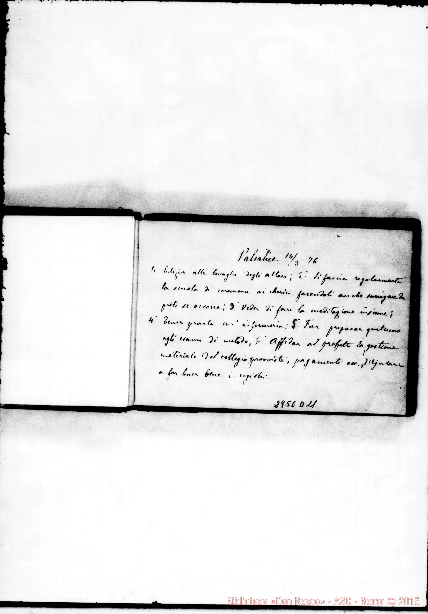 Fotogramma D 11