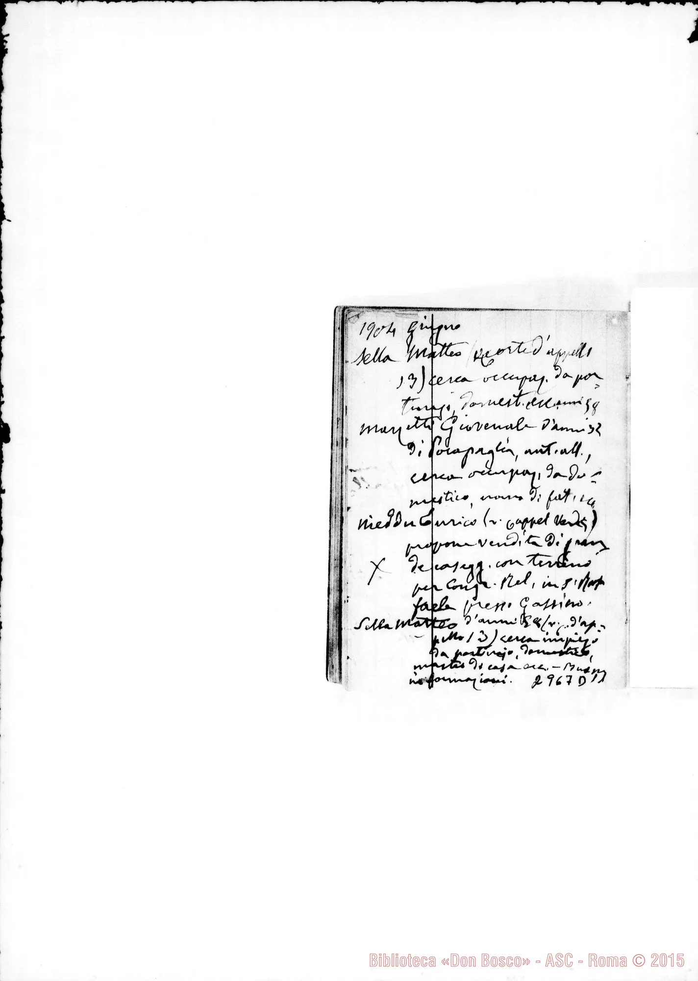 Fotogramma D 11