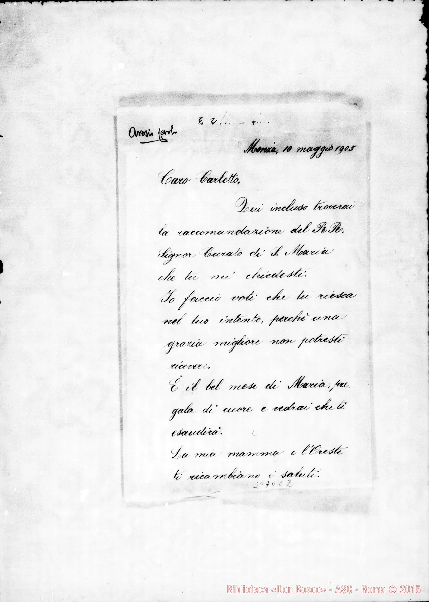 Fotogramma C 2 — Arosio Carlo: Edvige Pizzi - Cadetto. Monza, 10-05-1905. Aggiunta di D. Bellani